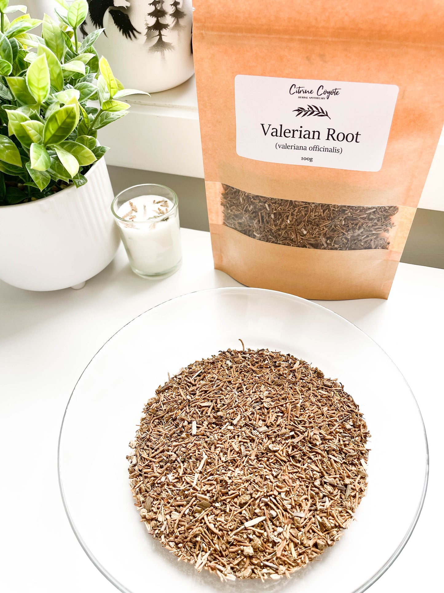 VALERIAN ROOT BULK | Organic | Valeriana officinalis