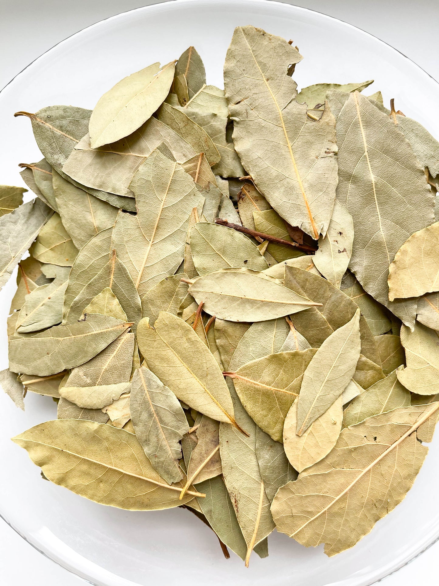 BAY LEAF BULK | Laurus nobilis | Whole Leaves