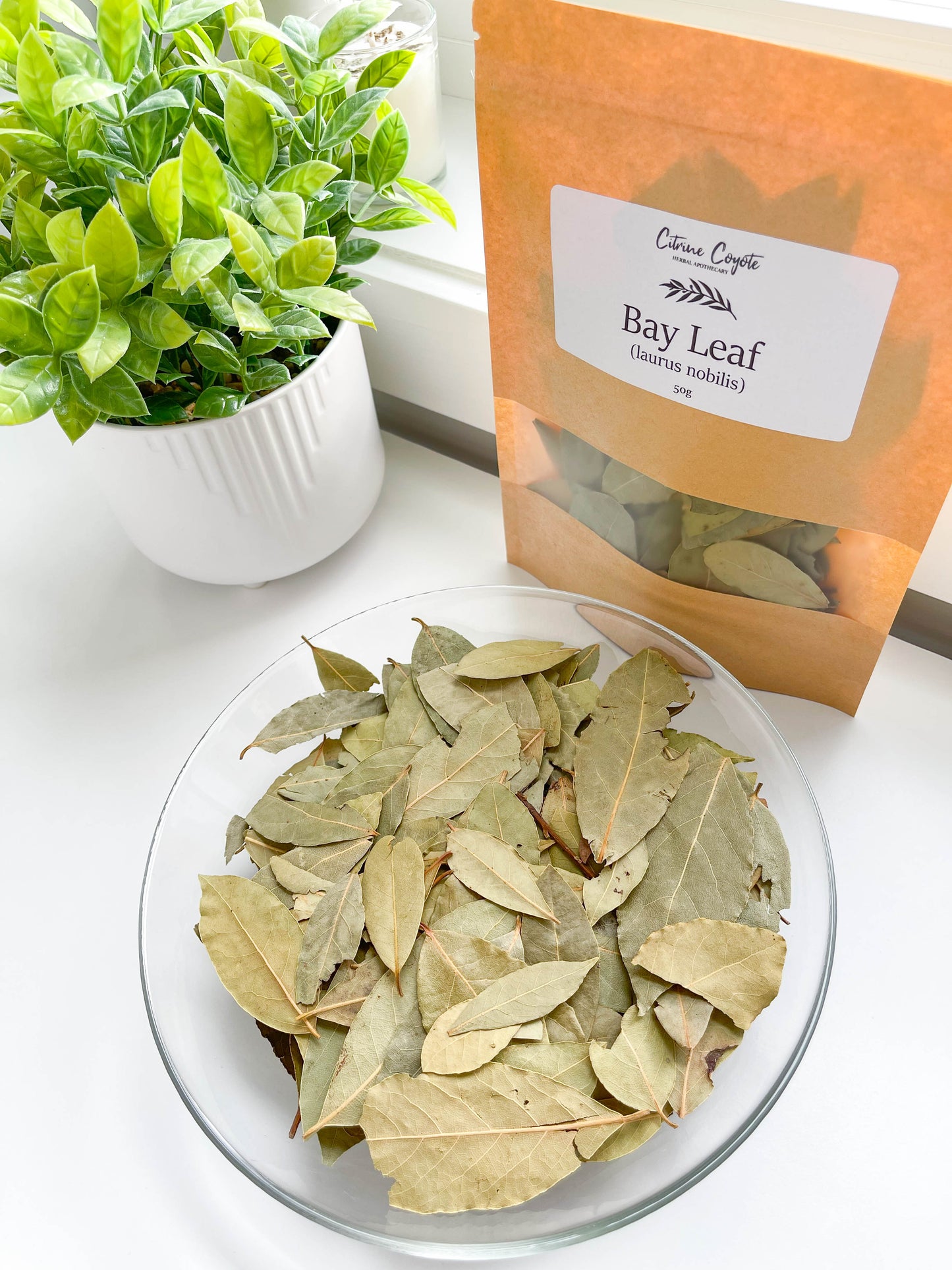 BAY LEAF BULK | Laurus nobilis | Whole Leaves