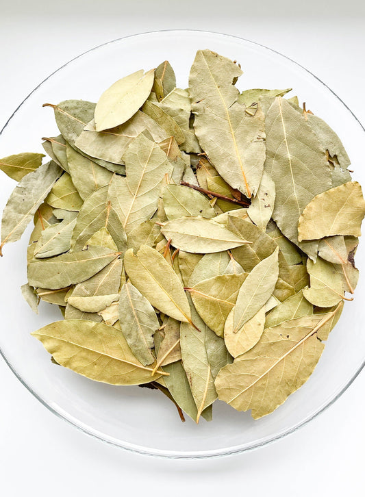 BAY LEAF BULK | Laurus nobilis | Whole Leaves