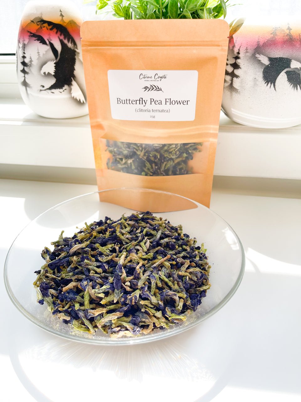 BUTTERFLY PEA FLOWER BULK | Clitoria ternatea