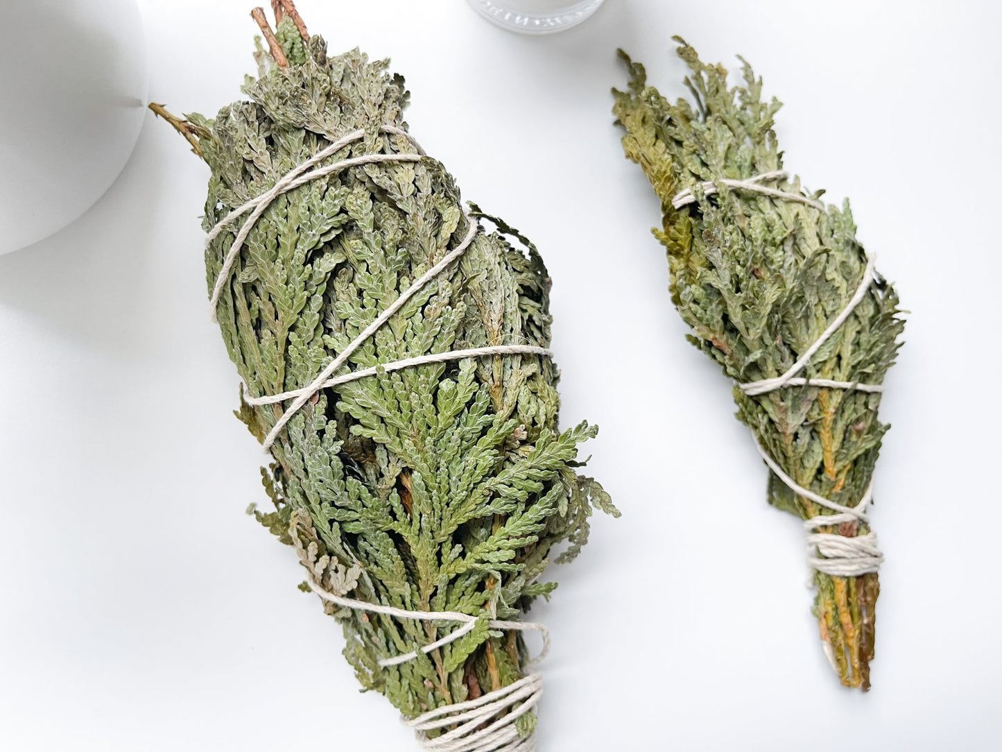 CEDAR SMOKE WAND | Herbal Bundle | Thuja occidentalis