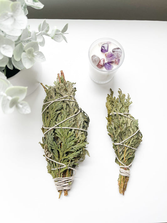 CEDAR SMOKE WAND | Herbal Bundle | Thuja occidentalis