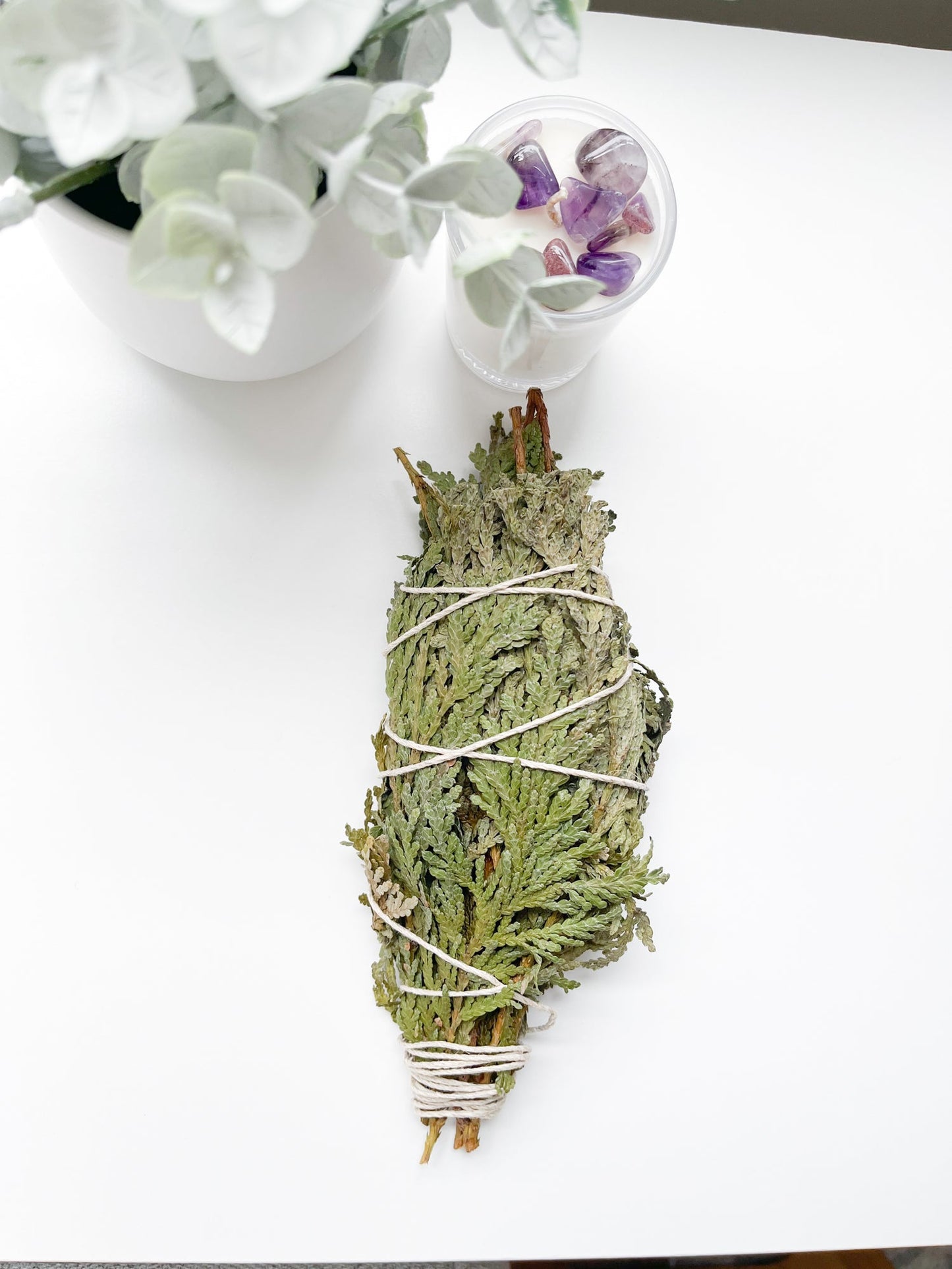 CEDAR SMOKE WAND | Herbal Bundle | Thuja occidentalis