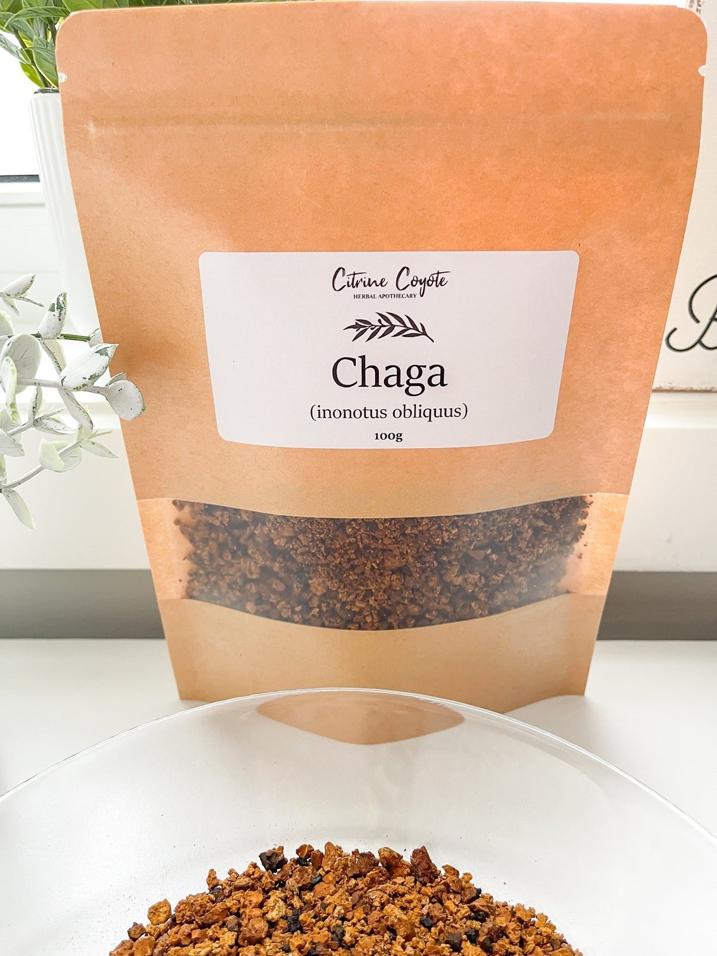 CHAGA MUSHROOM BULK | Wildcrafted | Inonotus obliquus