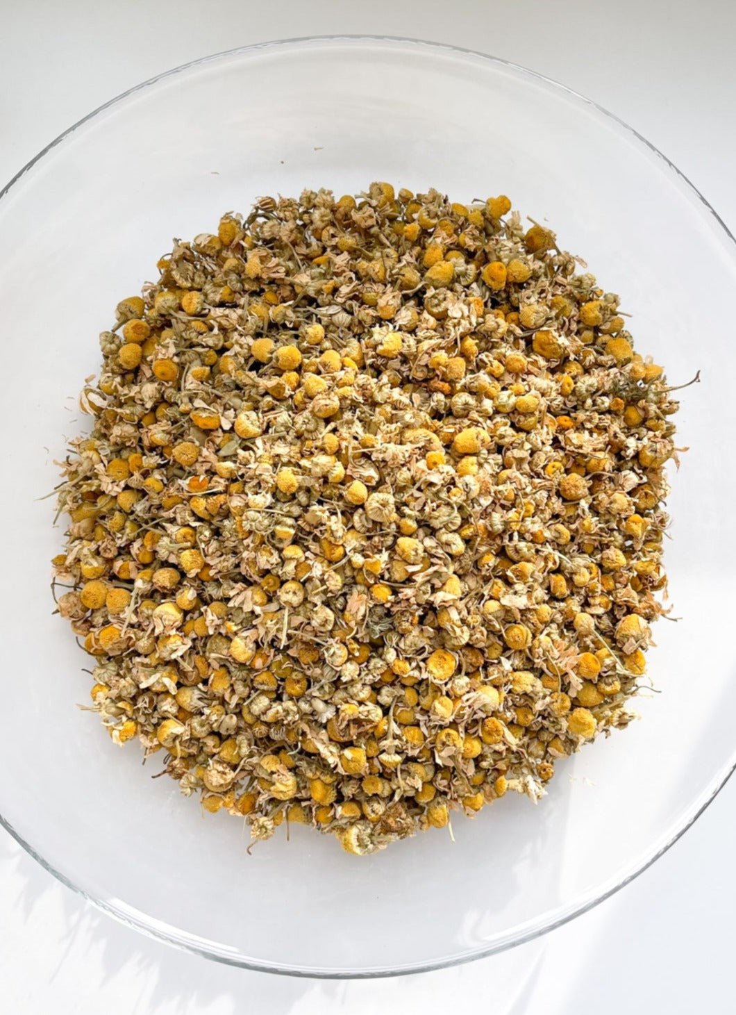 CHAMOMILE FLOWERS BULK | Organic | Matricaria chamomilla L.