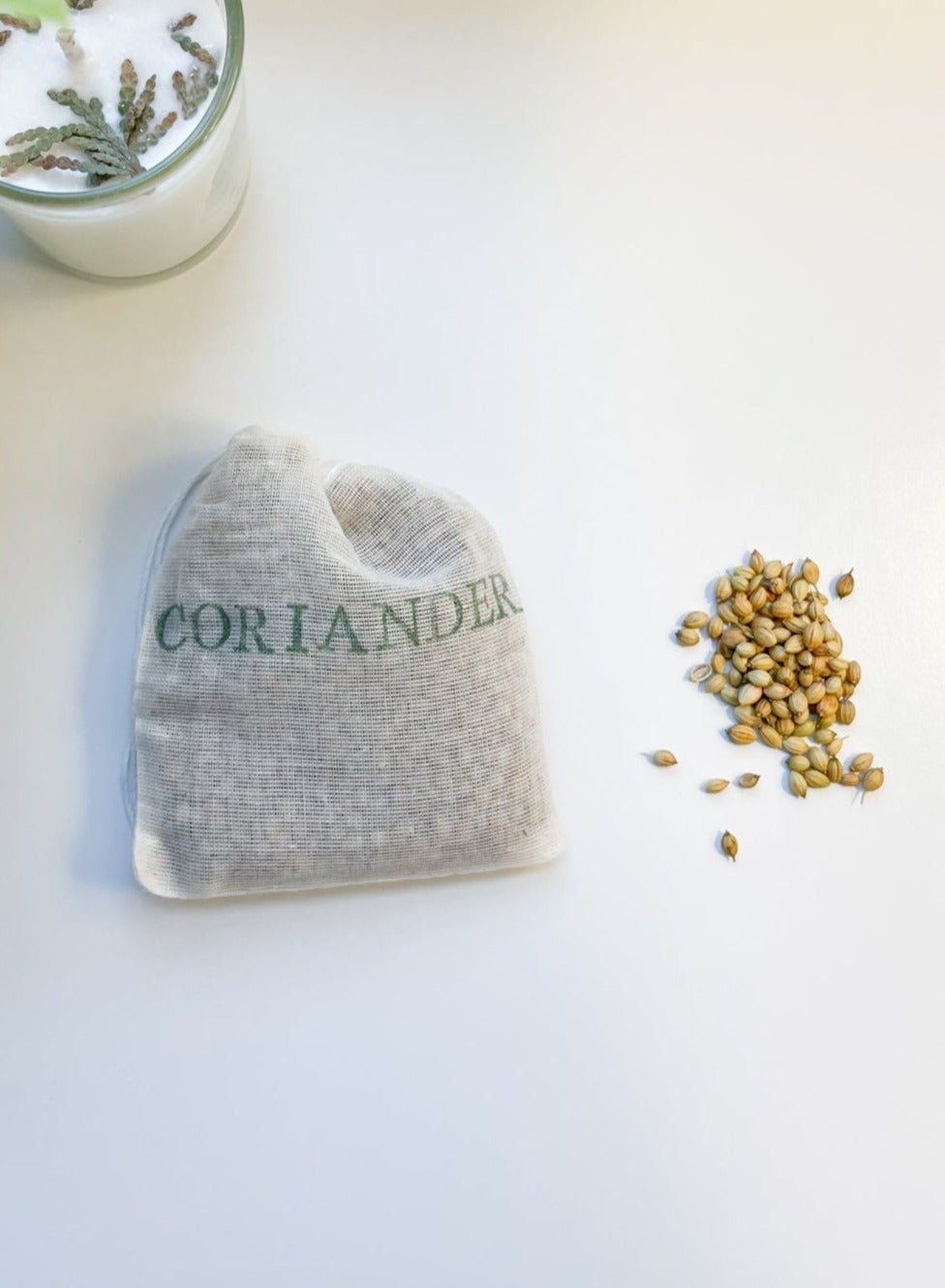 CORIANDER | Herb Bag