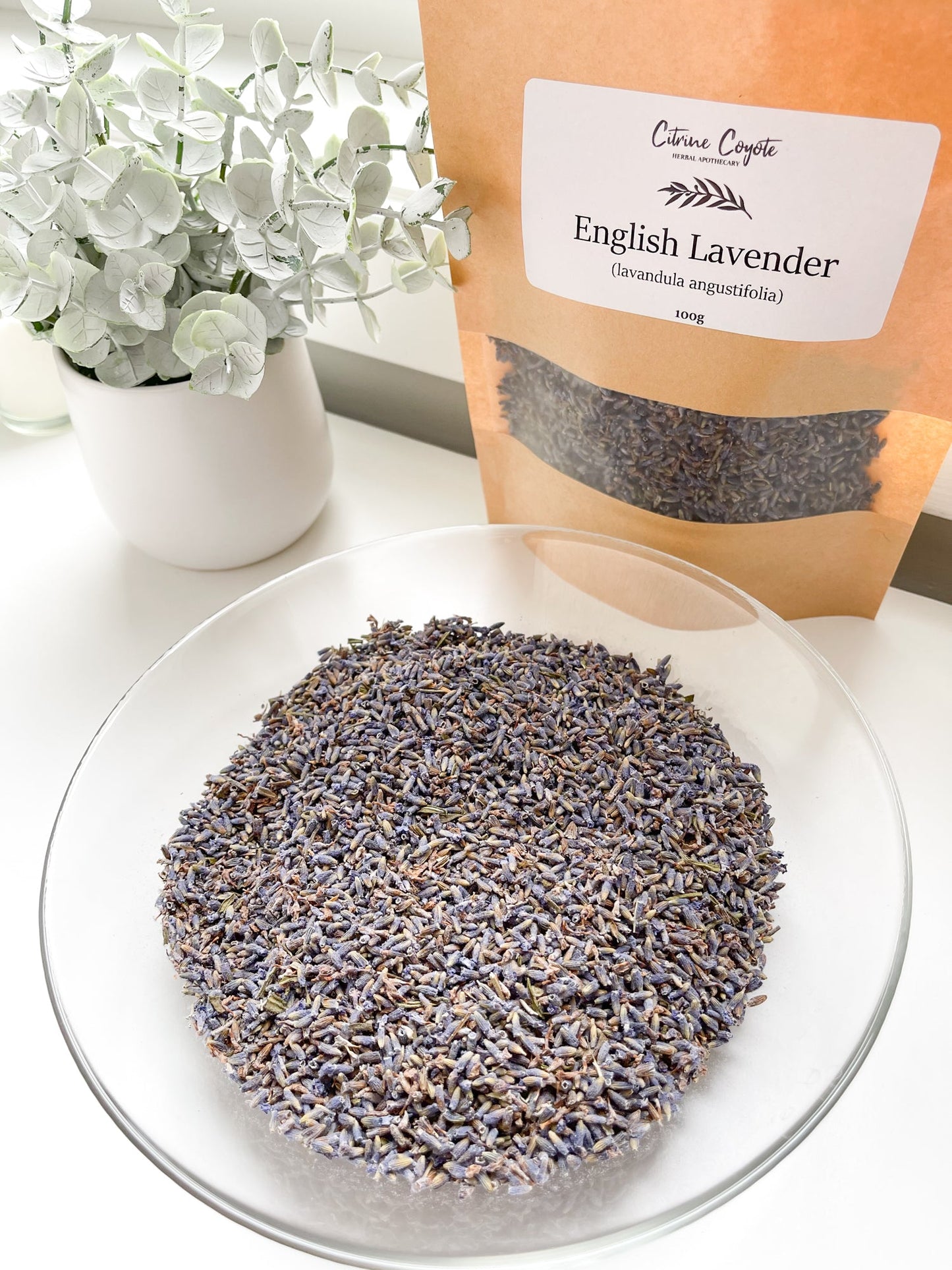 ENGLISH LAVENDER BULK | Organic | Lavandula angustifolia