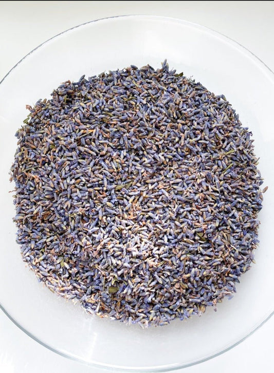 ENGLISH LAVENDER BULK | Organic | Lavandula angustifolia