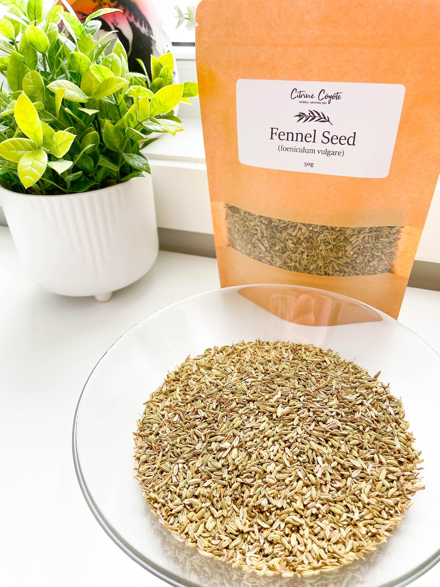 FENNEL SEED BULK | Organic | Foeniculum vulgare