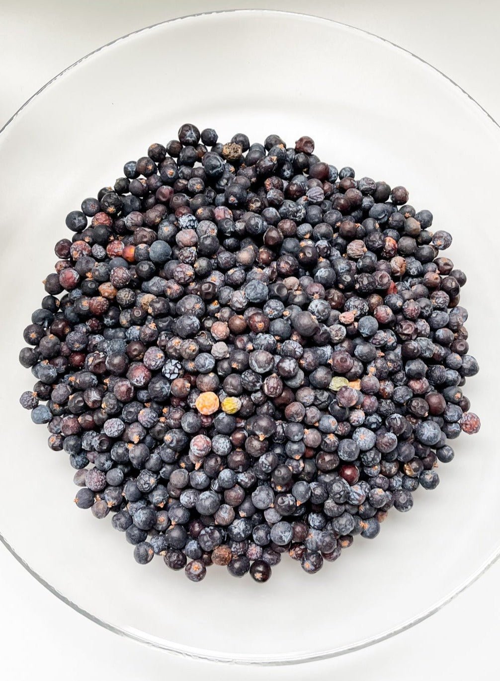 JUNIPER BERRIES BULK | Juniperus communis