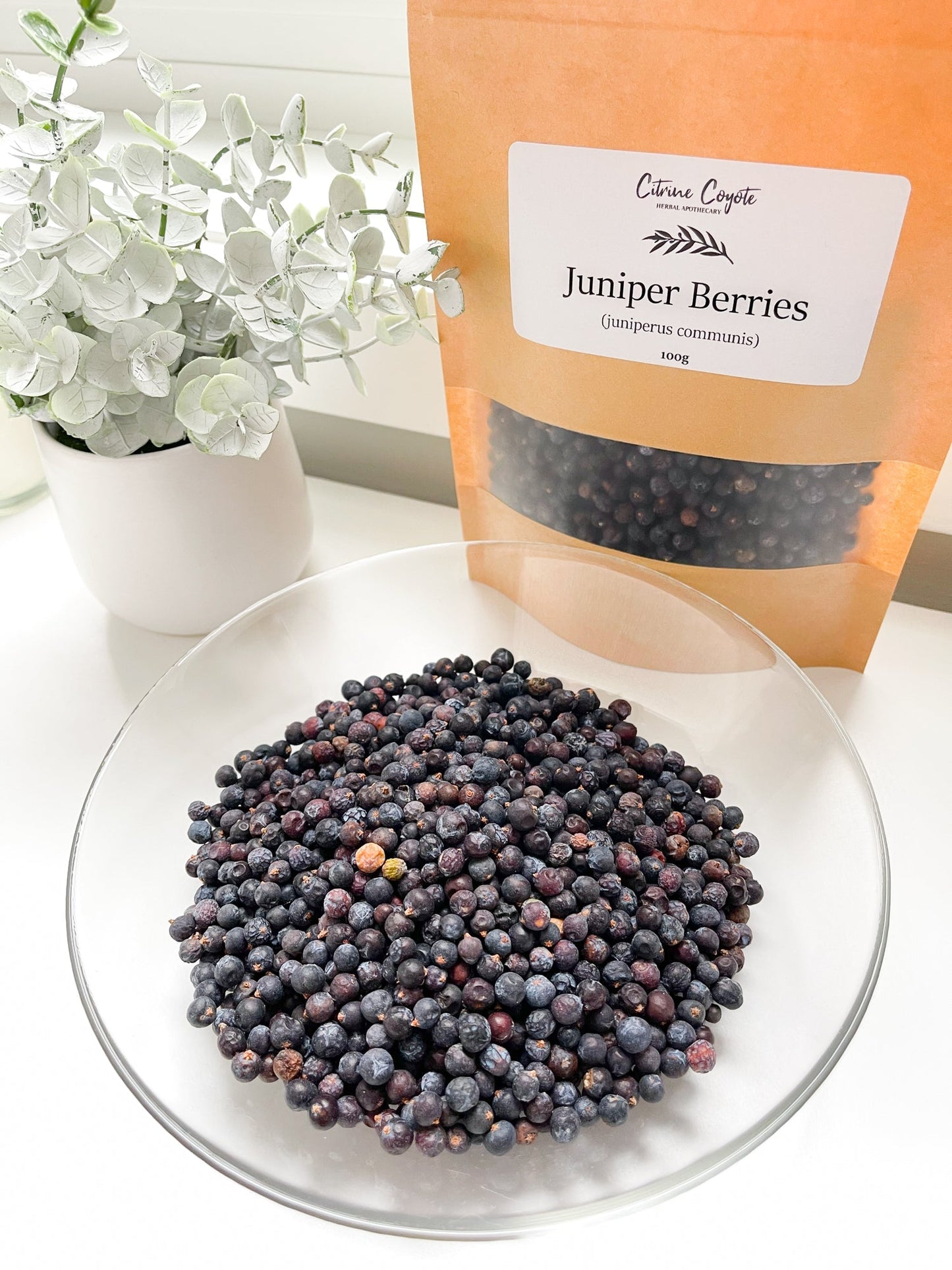 JUNIPER BERRIES BULK | Juniperus communis