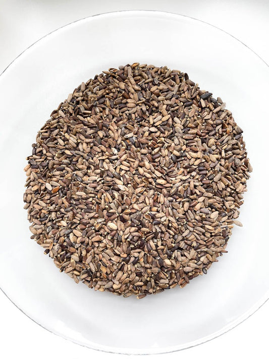 MILK THISTLE SEEDS BULK | Organic | Silybum marianum