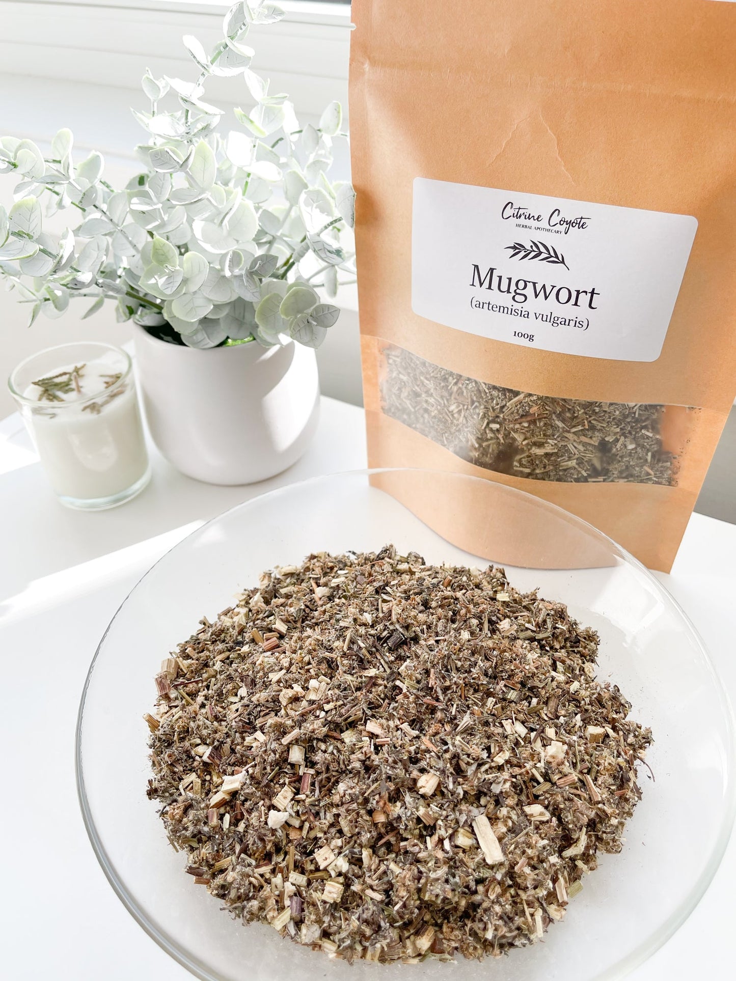 MUGWORT BULK | Organic | Artemisia vulgaris