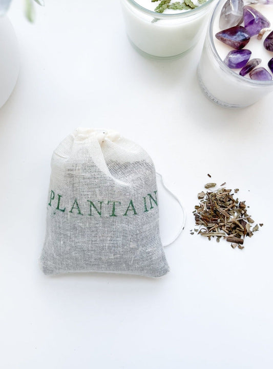 PLANTAIN | Herb Bags