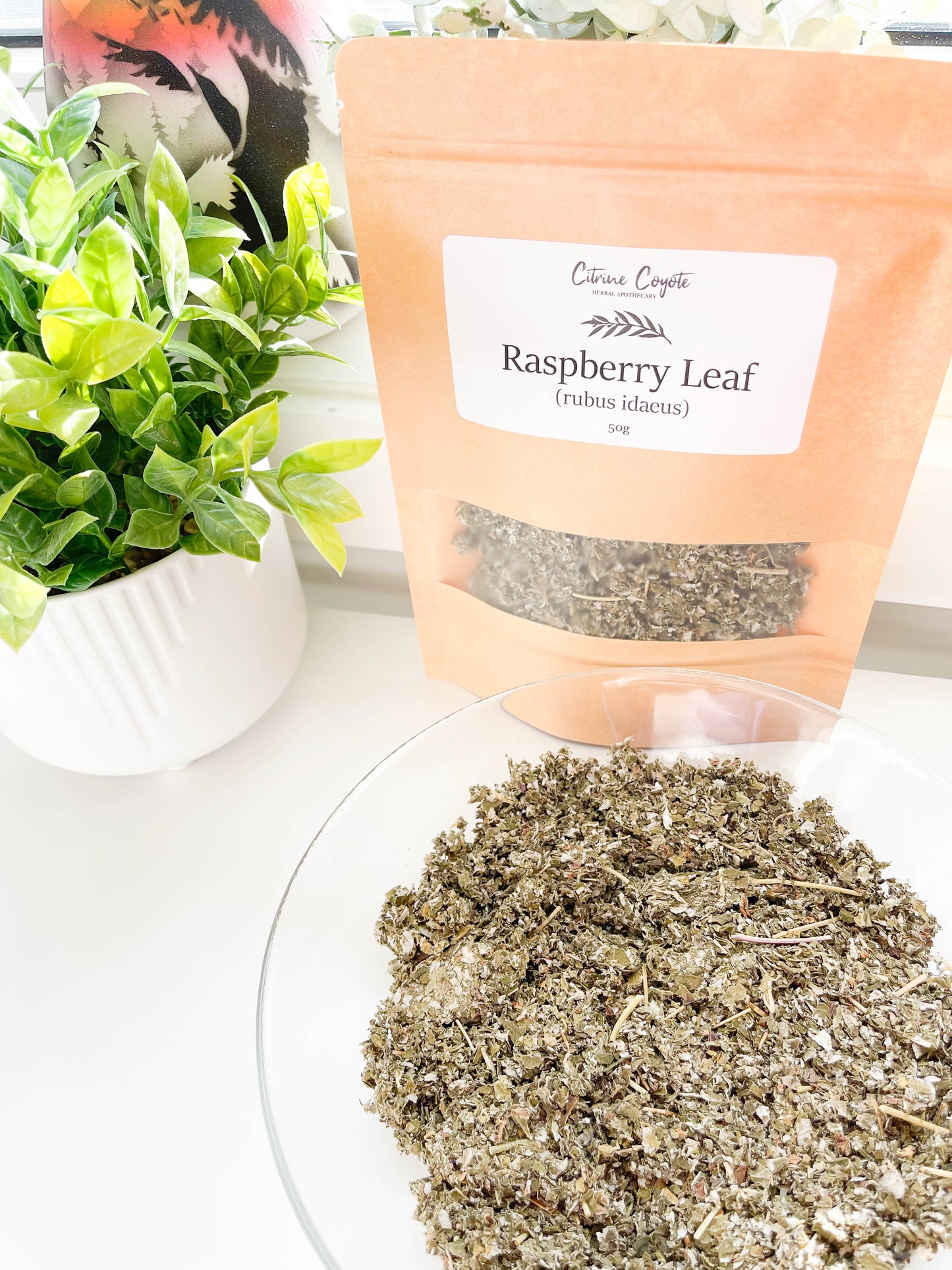 RASPBERRY LEAF BULK | Organic | Rubus idaeus