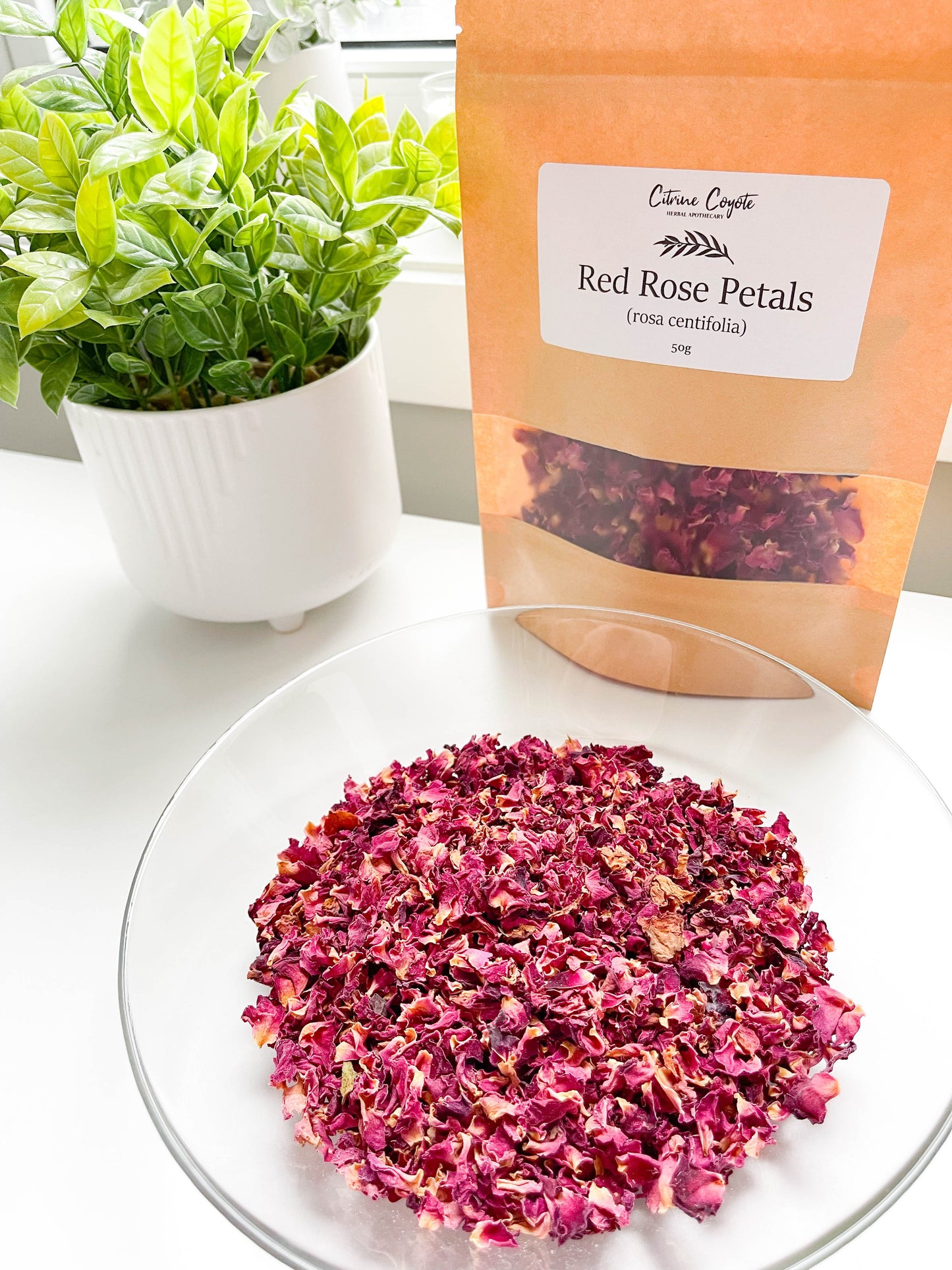 RED ROSE PETALS | Organic | Rosa centifolia