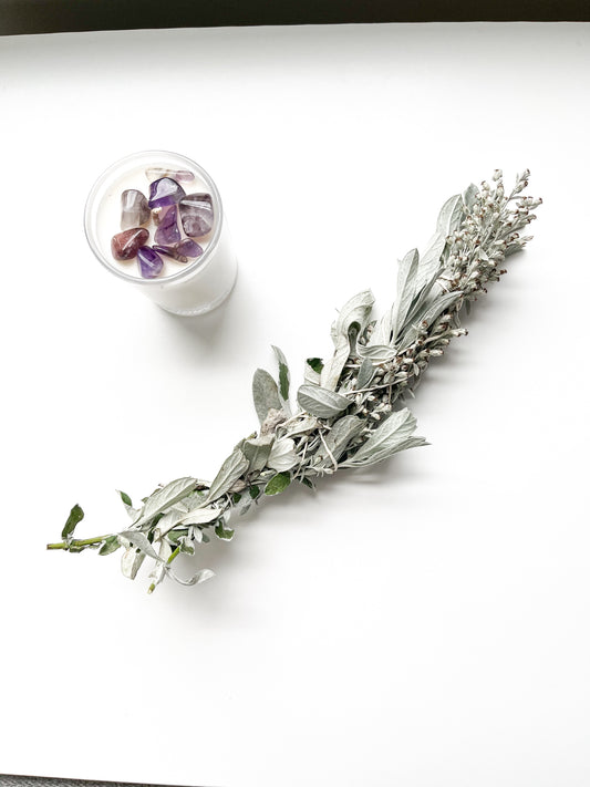 WHITE SAGEBRUSH WAND | Artemisia ludoviciana