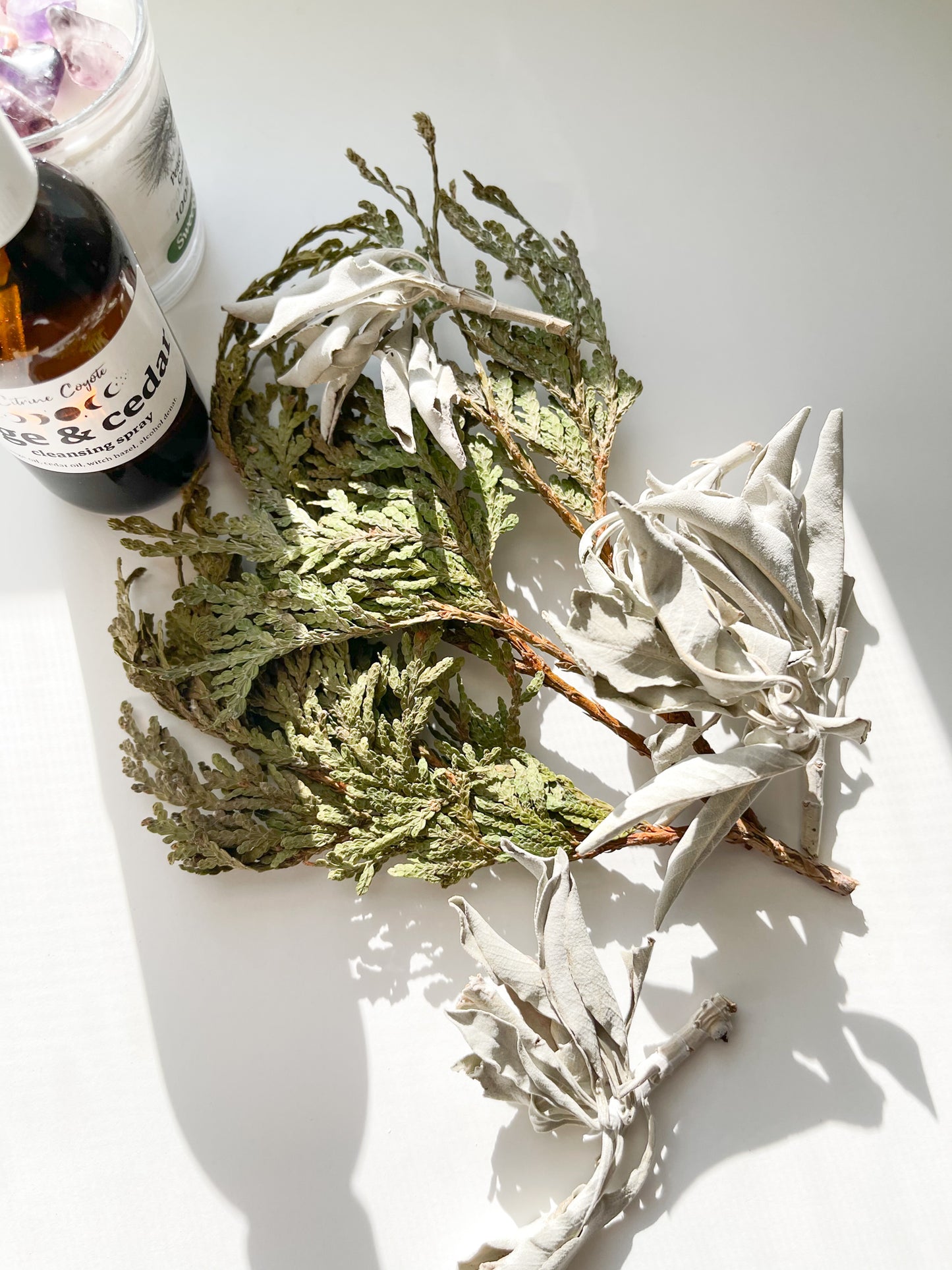 SAGE & CEDAR SPRAY | Cleanse